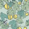PAPEL FRUTTO PROIBITO
