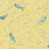 PAPEL FINCHES