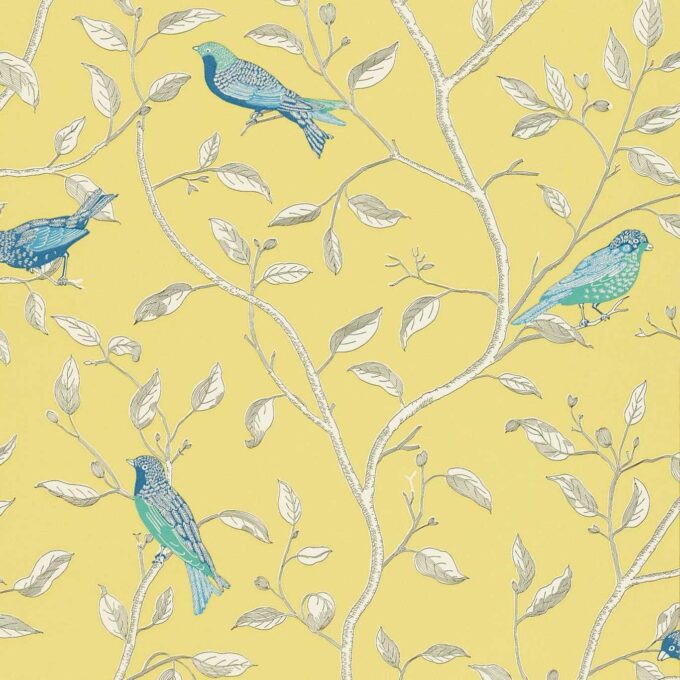 PAPEL FINCHES