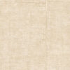 PAPEL TINTURA - Imagen 11