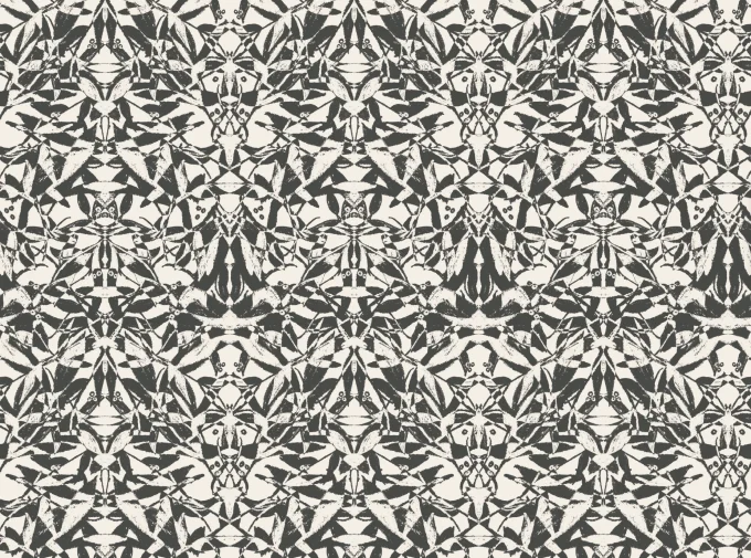 PAPEL BIQUIO - Imagen 3
