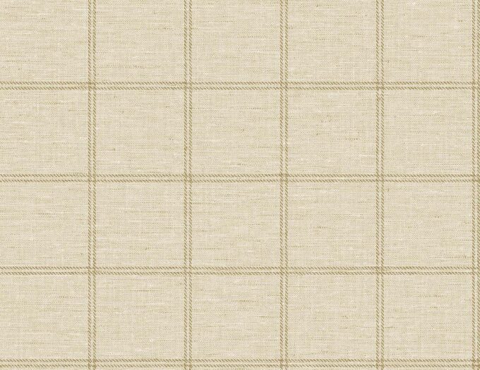 PAPEL TOBIN