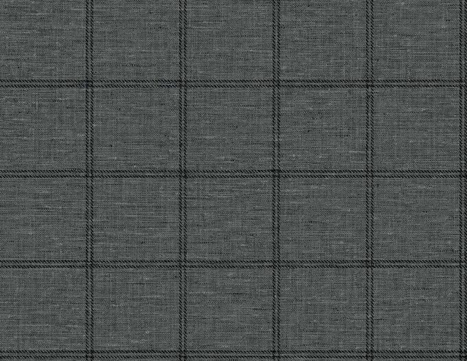 PAPEL TOBIN - Imagen 3