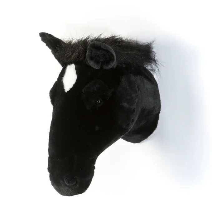 CABEZA DE CABALLO NEGRO